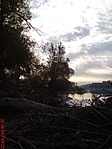 Sziget