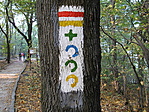 Színkavalkád