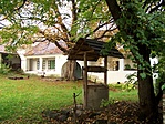 Kúria