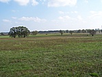 Akár a sztyeppéken