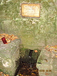 Forrás