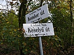Nyéken járunk.
