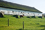 Paci