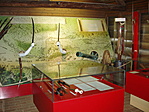 Múzeum