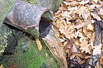 Forrás