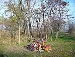 Pihi