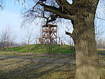A kilátó