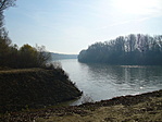 A Tisza