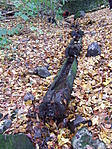 A vályúk
