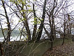 A rejtek