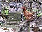 ej... :)