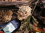 GPS-sel