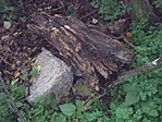 A rejtek