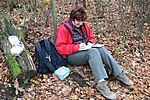 Készül a logbook
