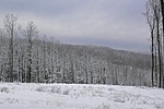 Panoráma útközben
