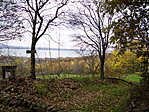 Panoráma