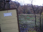 A tónál
