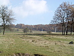 Közelben