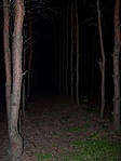 Blair Witch-érzés