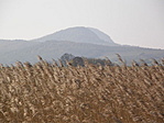 Nád fésülve
