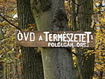 ...és a párja