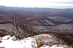 Kilátásrészlet