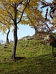 Felfele
