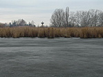 Vízpart