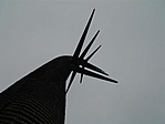 Szúúúr