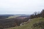 Panoráma