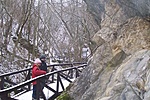 Hidacska a patak felett