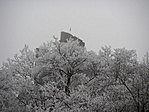 ládanézet