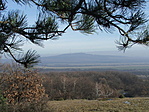 Panoráma