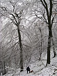 Bog és Zsepi küzdenek a hegyoldallal :)
