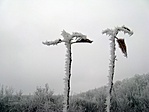 Kis érdekes :)