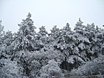 Magashegyi hangulat :)
