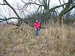 Zsuzsi