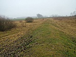 Puszta
