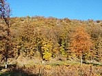 Őszi pompa