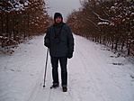fák között