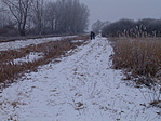 kirándulók