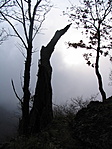 hangulat