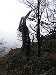 fába zárt lélek