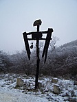 Totem