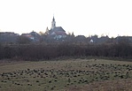 vakondparadicsom