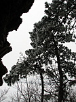 Kilátás a barlangból