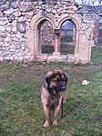 Barnabás