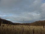 Égig érő fű