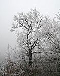 A kilátónál