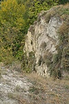 Löszfal